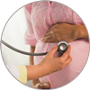 best hospital in gorakhpur